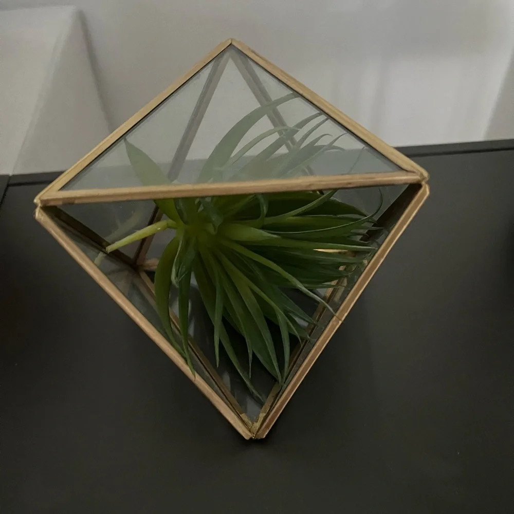 West Elm Open Terrarium